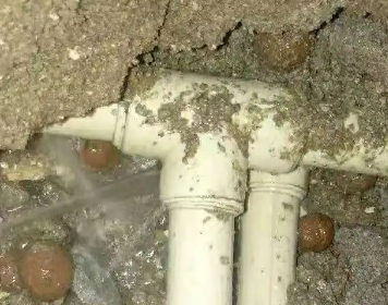 萨尔图测漏水多少钱