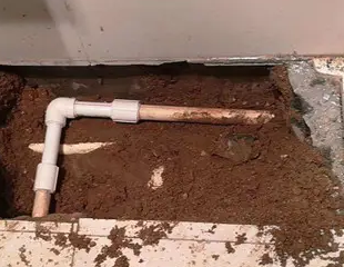 萨尔图测漏水哪家好