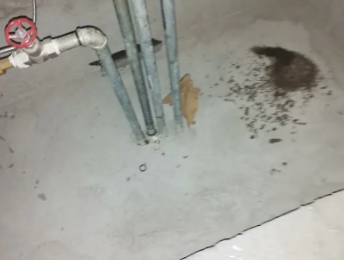 萨尔图卫生间测漏水价格明细